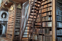 Vienna Library